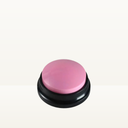 Voice Recorder Button