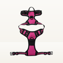No-pull harness