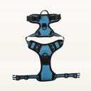 No-pull harness