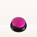 Voice Recorder Button