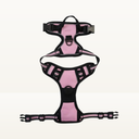 No-pull harness