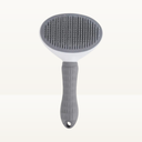Self-cleaning brush