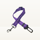 Seat belt - Detailed colors