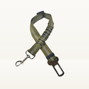 Seat belt - Detailed colors