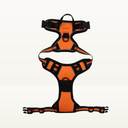 No-pull harness