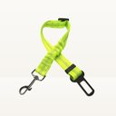Seat belt - Detailed colors