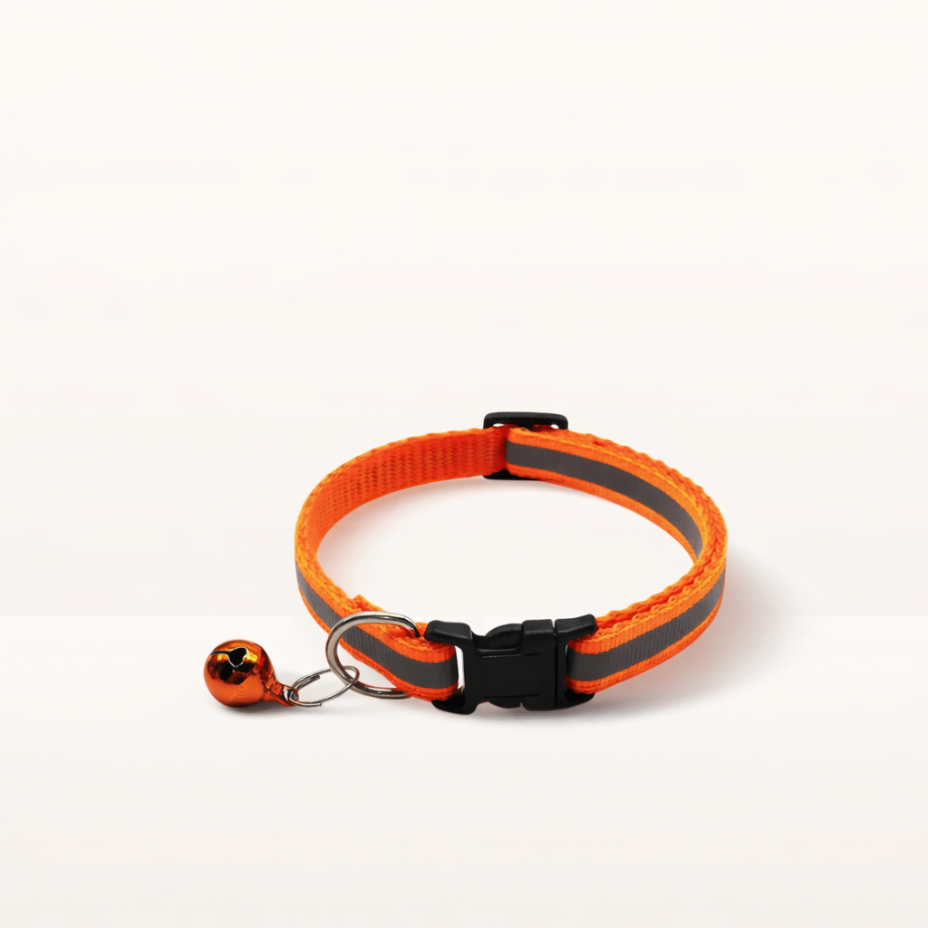 Collier Réfléchissant