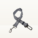 Seat belt - Detailed colors