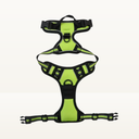 No-pull harness