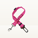 Seat belt - Detailed colors