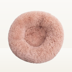 Lit donut