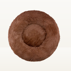 Lit donut