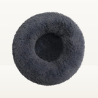 Lit donut