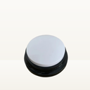 Voice Recorder Button
