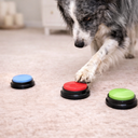 Voice Recorder Button