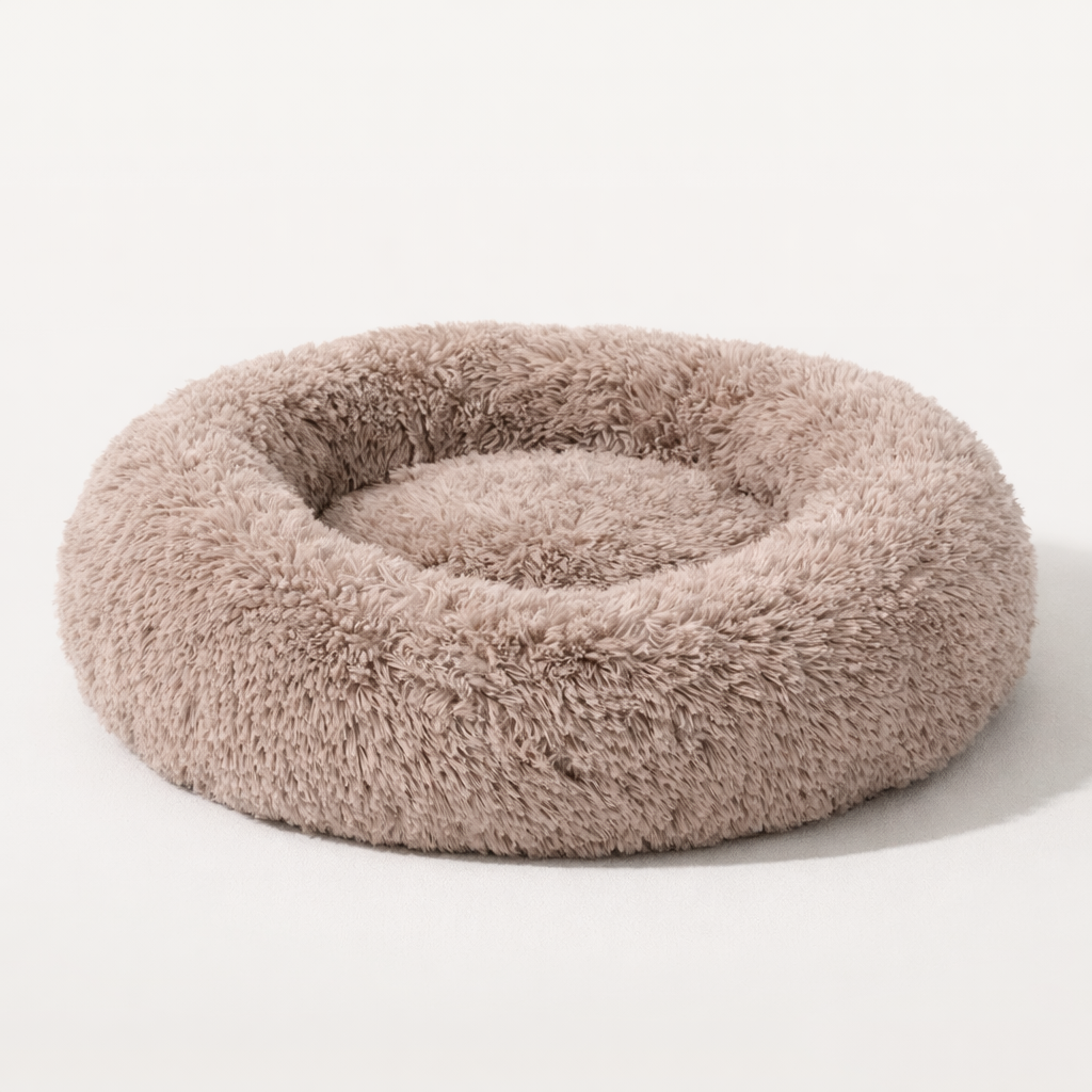 Lit donut