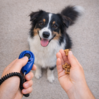 Clicker