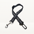 Ceinture de sécurité - Coloris détaillés