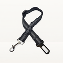 Seat belt - Detailed colors