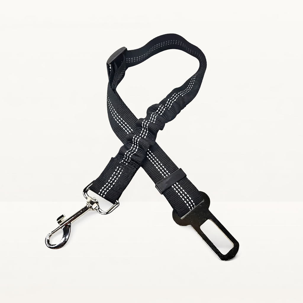Ceinture de sécurité - Coloris détaillés