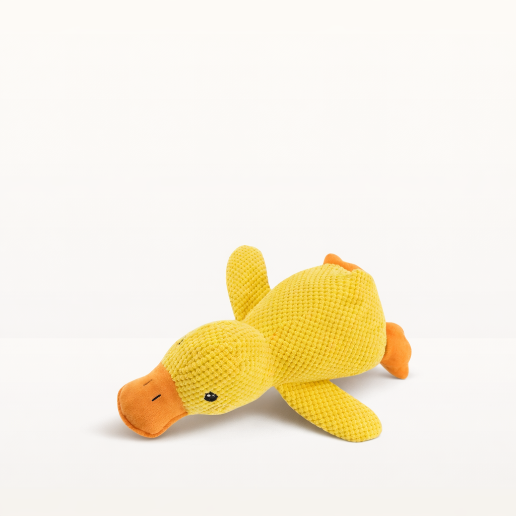 Canario – Jouet en peluche
