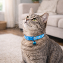 Collar with bell