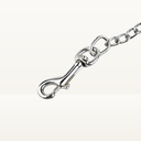 Chain Leash