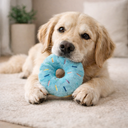 Donut Plush