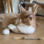 Bâtonnet à Mâcher pour Chat