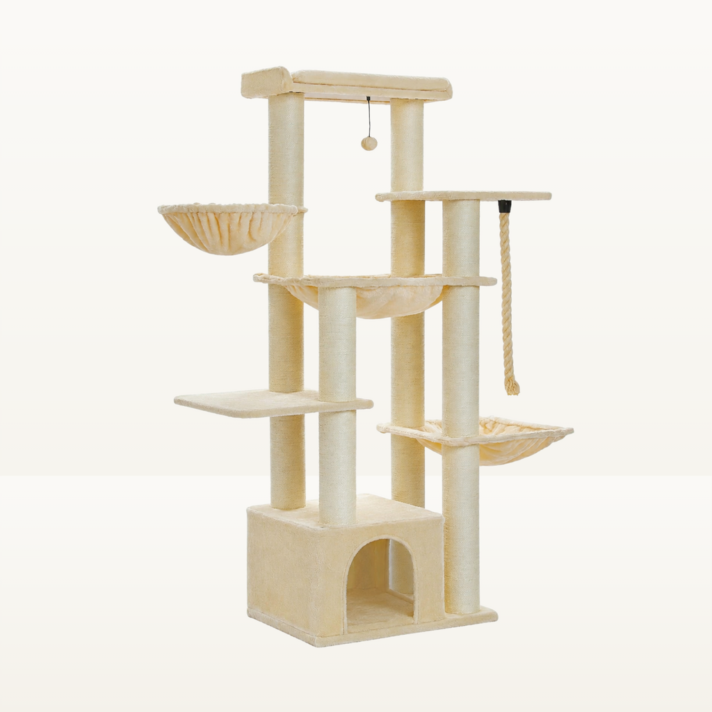 Arbre à Chat
