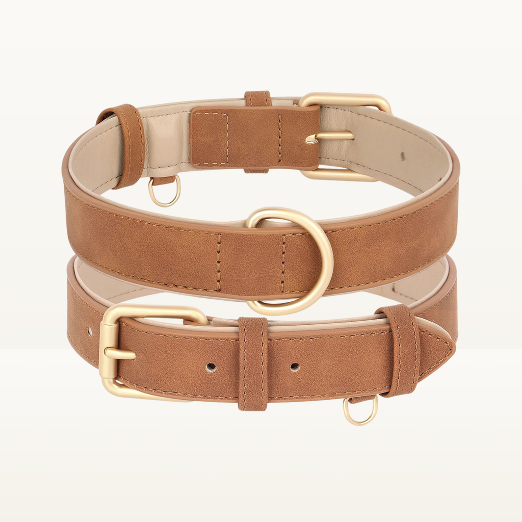 Collier Signature