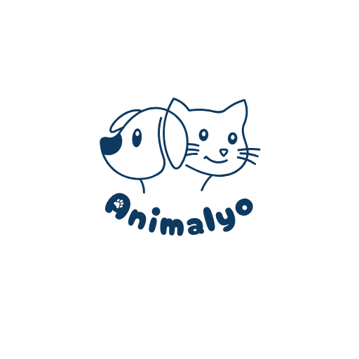 Logo Animalyo – Accessoires pour chiens et chats