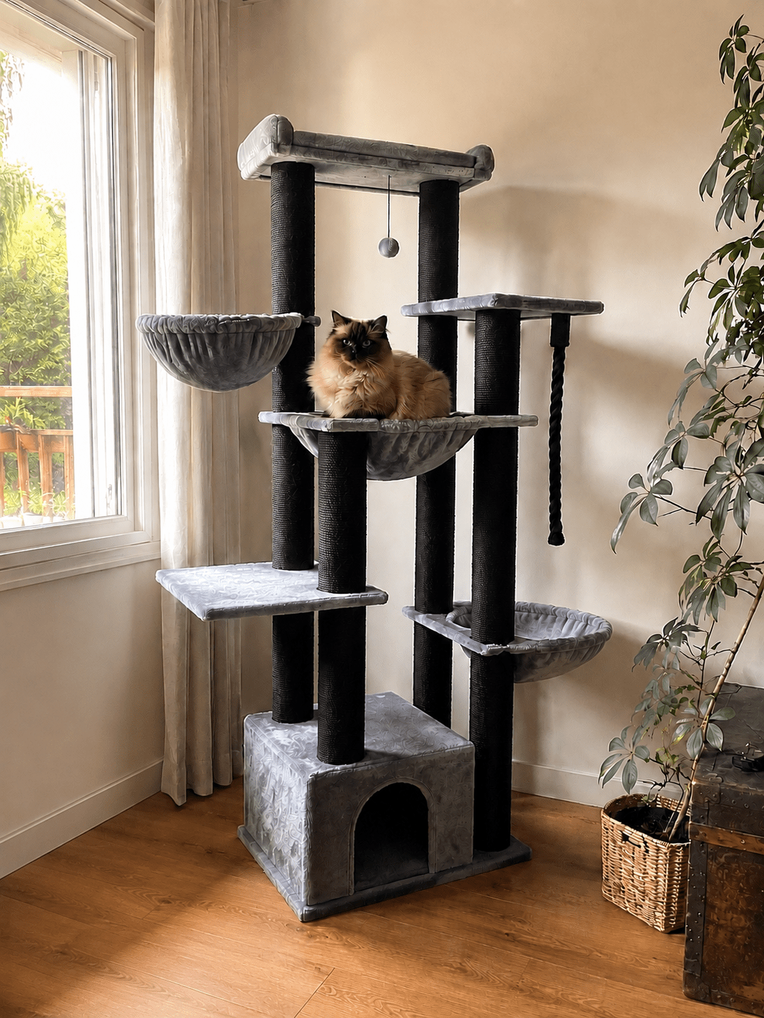 Arbre à Chat - Animalyo