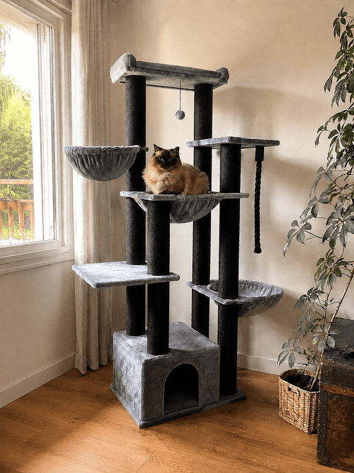 Arbre à Chat - Animalyo