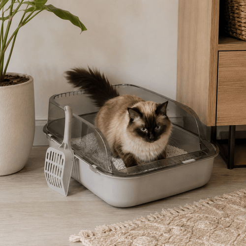 Bac à Litière Semi-Fermé - Animalyo