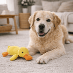 Canario – Jouet en peluche - Animalyo
