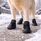 Chaussures Explorer - Animalyo