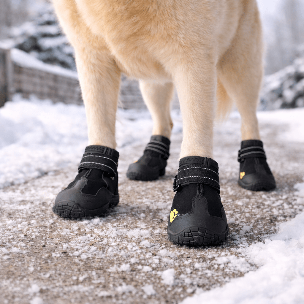 Chaussures Explorer - Animalyo