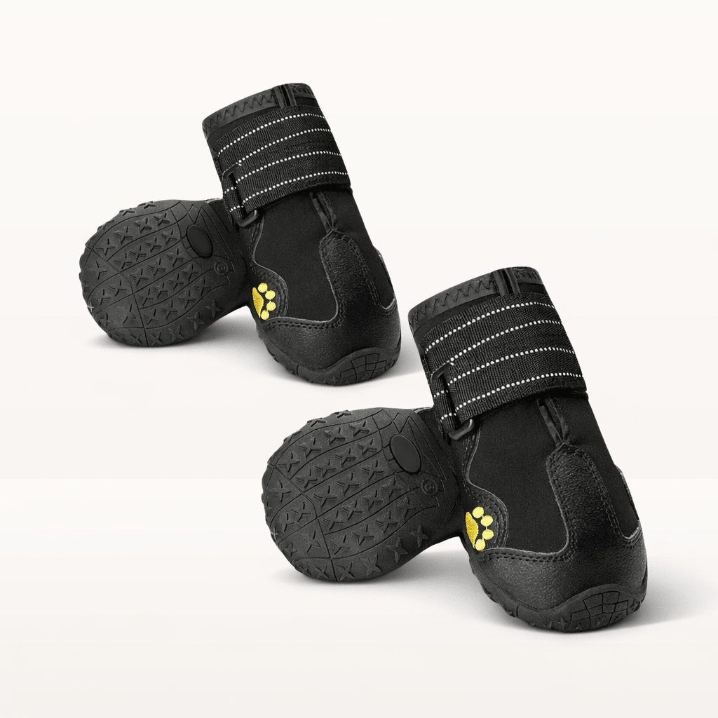Chaussures Explorer - Animalyo