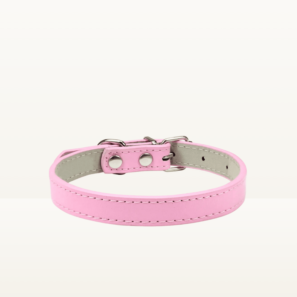 Collier classique - Animalyo