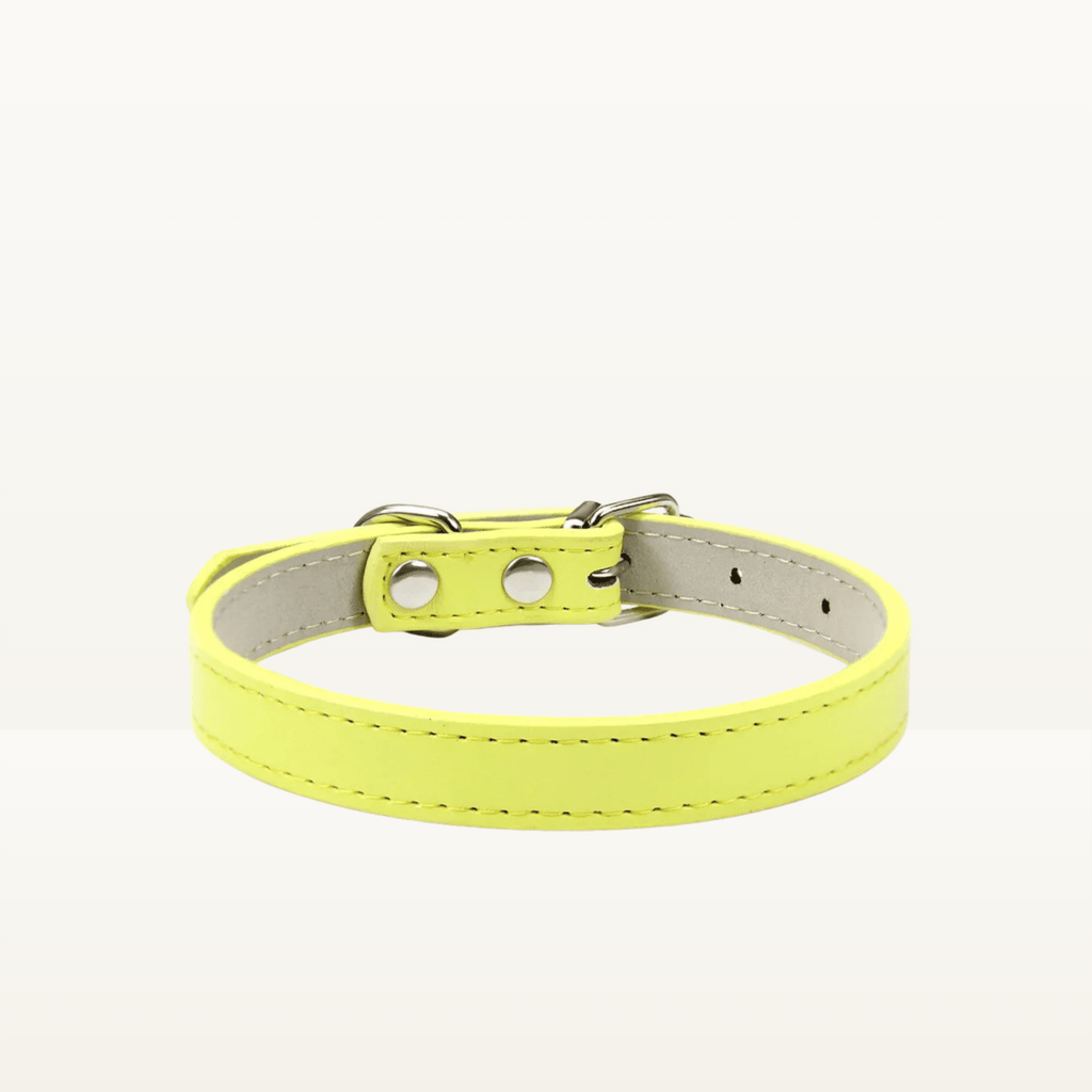 Collier classique - Animalyo