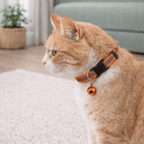 Collier Réfléchissant - Animalyo