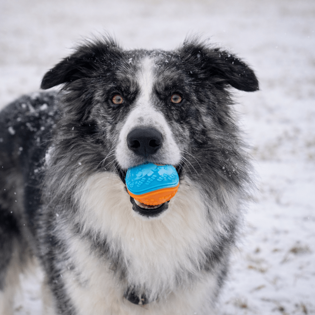 La balle Snow - Animalyo