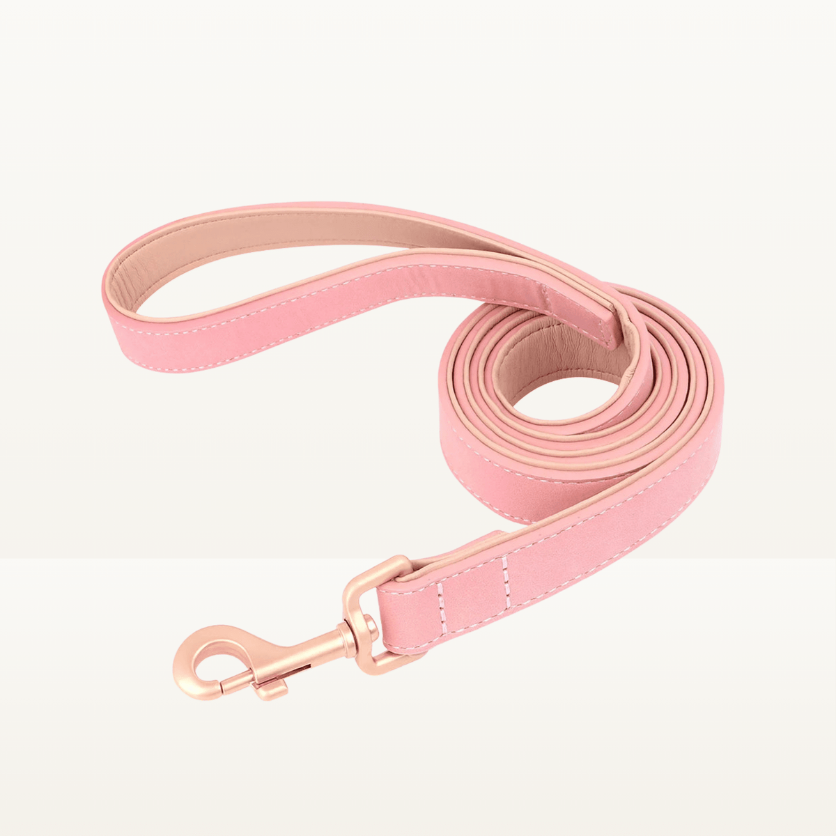 Laisse Signature - Animalyo