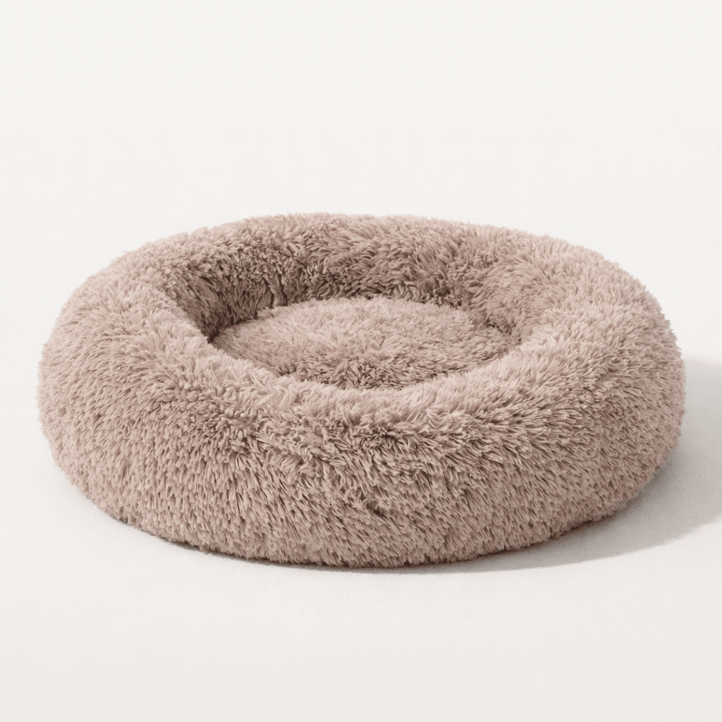 Lit donut - Animalyo