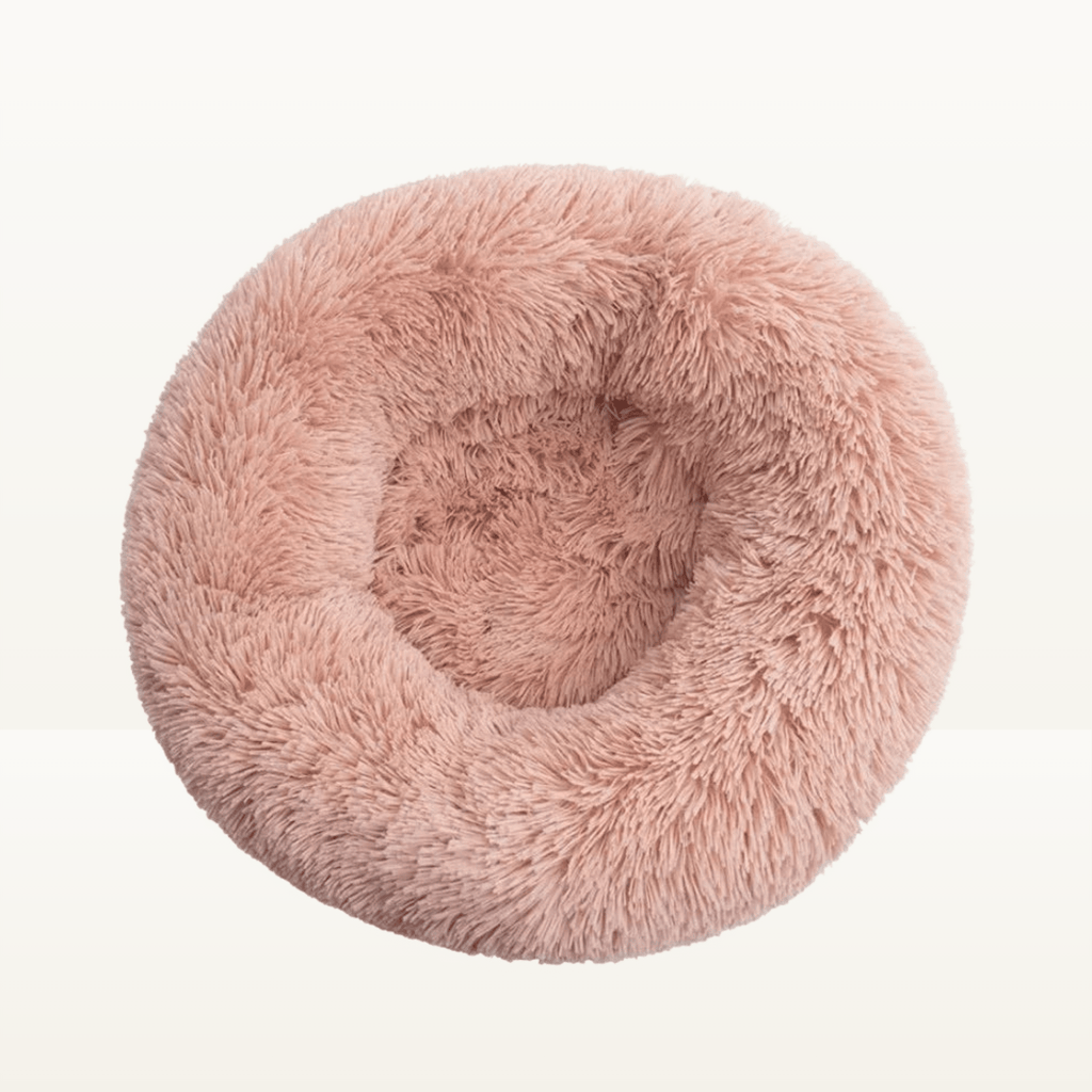 Lit donut - Animalyo
