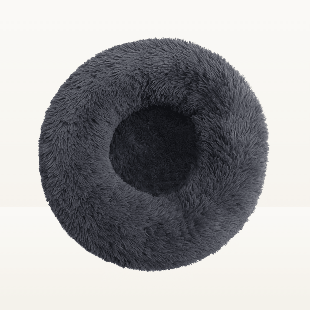 Lit donut - Animalyo