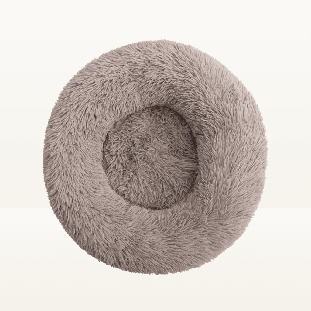 Lit donut - Animalyo