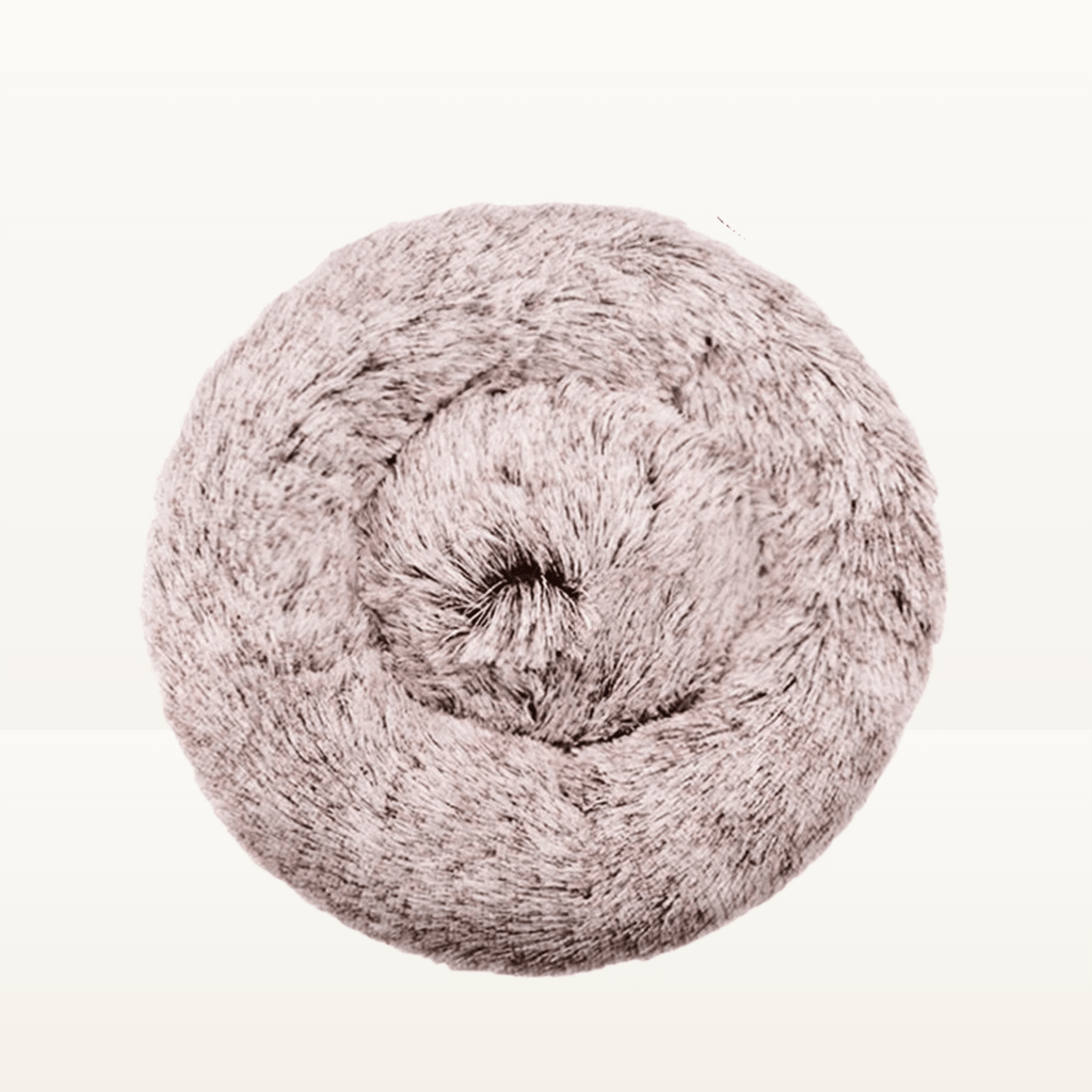 Lit donut - Animalyo